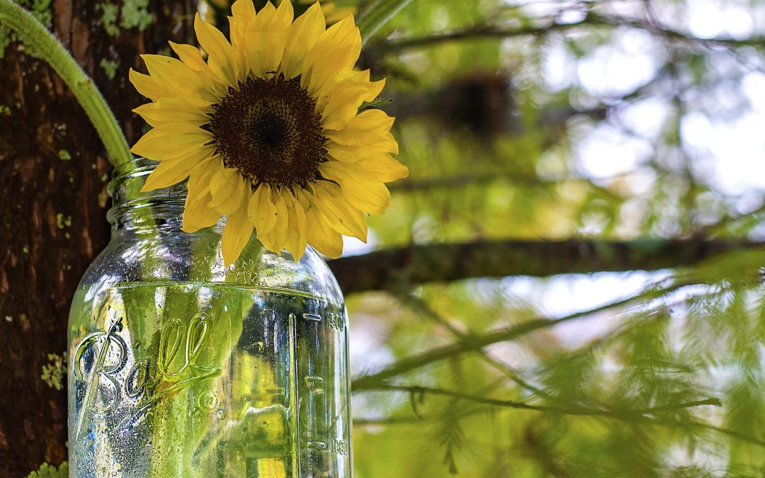 Are you looking after yourself?