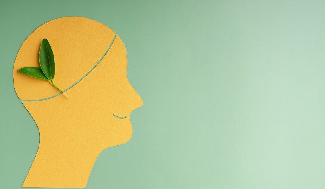 The Art and Science of Interviewing: How Interviewers Process Information