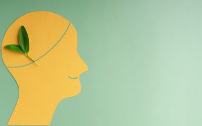 The Art and Science of Interviewing: How Interviewers Process Information