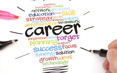 What Is A Portfolio Career?