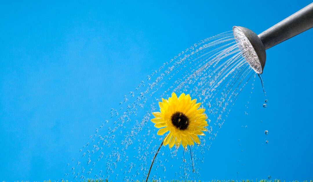 How to Take Control of Your Career Development in 2025