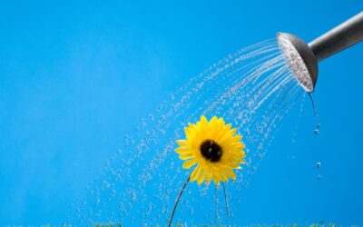 How to Take Control of Your Career Development in 2025